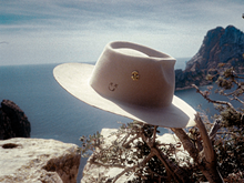 Load image into Gallery viewer, IBICENCO
